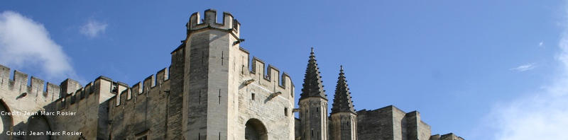 pope palace avignon banner